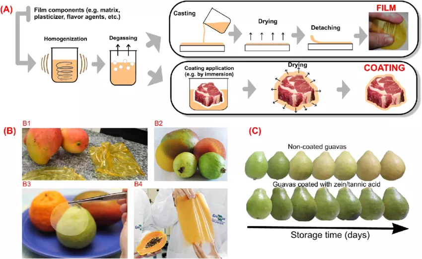 food packaging films and coatings